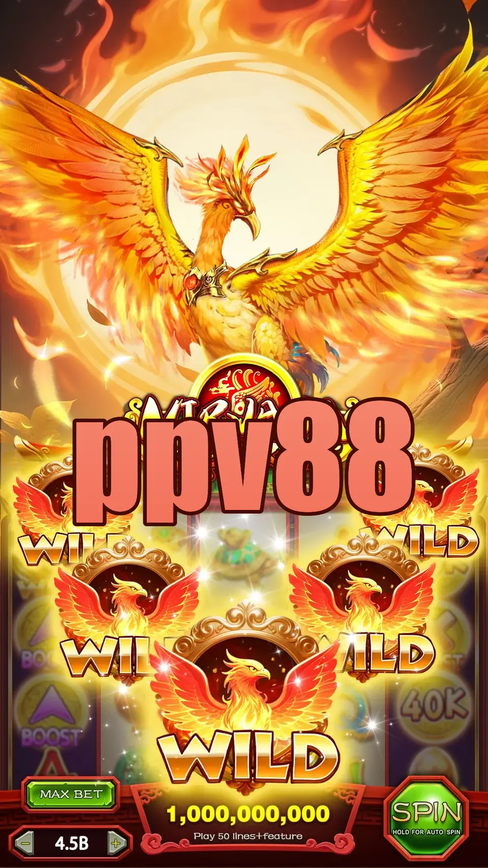 ppv88 Masuk